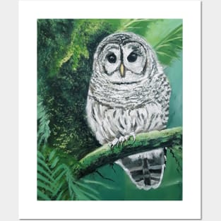 Barred Owl Posters and Art